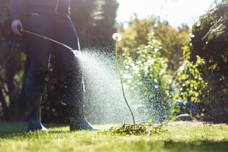 Garden Deweeding Service