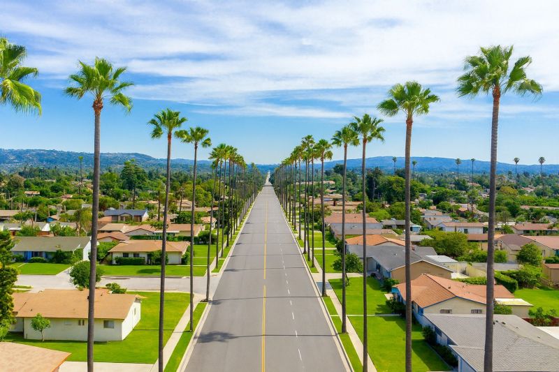 Fall Lawn Cleanup Service in West Covina, CA