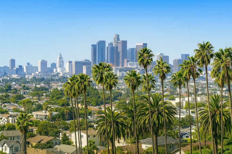 Fall Lawn Cleanup Service in Sherman Oaks, CA