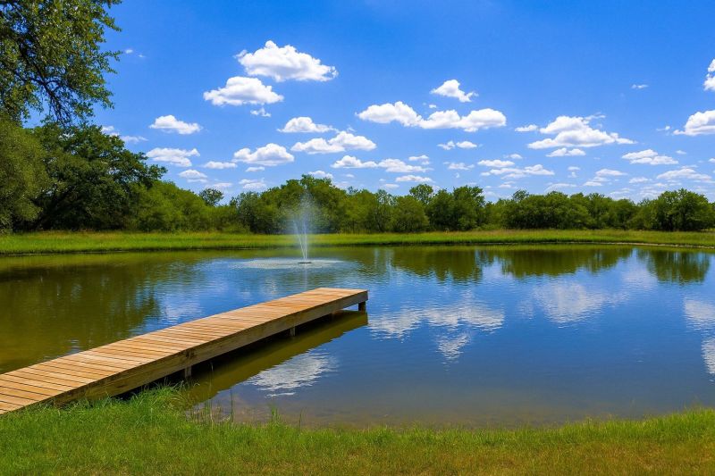 Fall Lawn Cleanup Service in Spicewood, TX