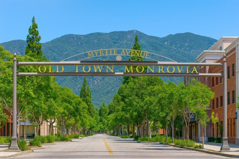 Leaf Raking Service in Monrovia, CA
