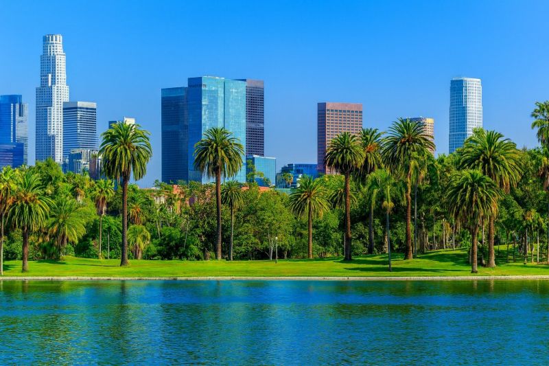Leaf Raking Service in North Hollywood, CA
