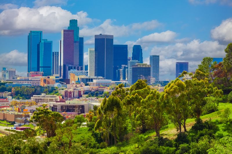 Leaf Raking Service in Los Angeles, CA