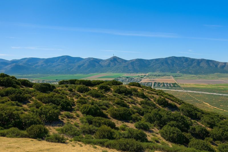 Leaf Removal in Palmdale, CA