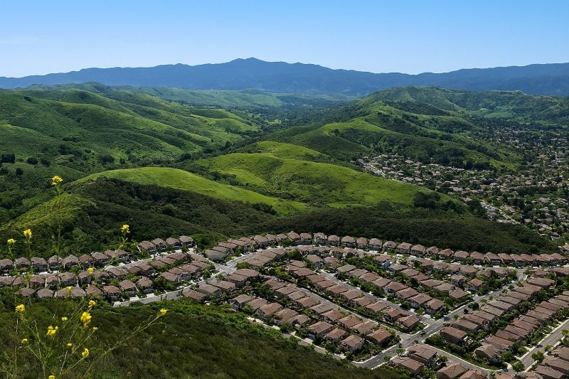 Leaf Removal in Simi Valley, CA