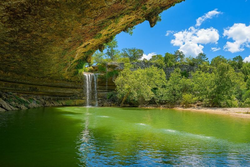 Leaf Removal in Dripping Springs, TX