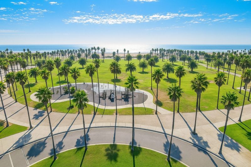 Leaf Removal in Oxnard, CA