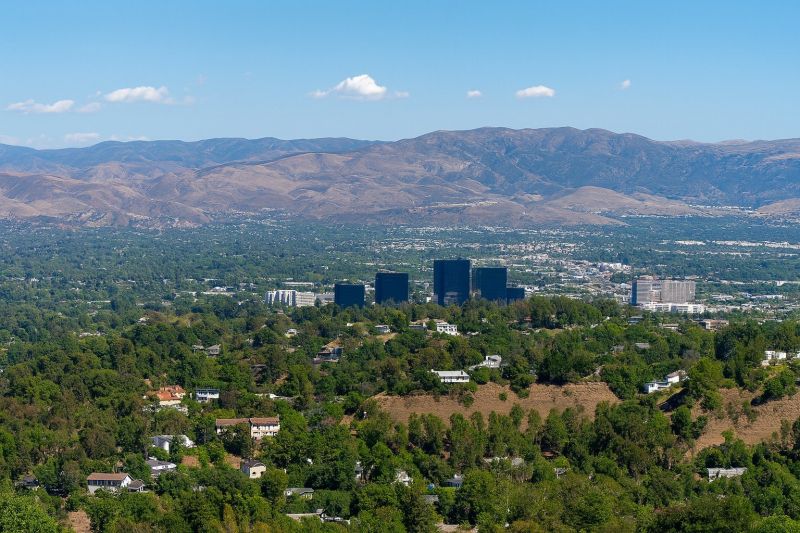 Yard Cleanup Service in Woodland Hills, CA