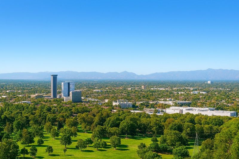 Yard Cleanup Service in Burbank, CA